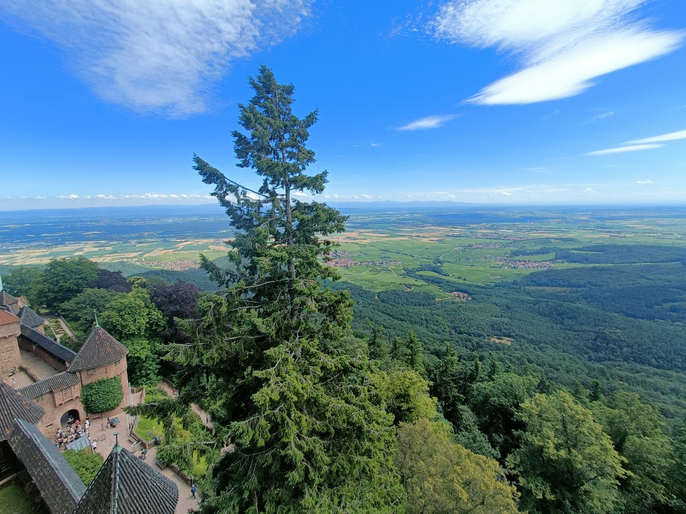 Château du Haut-Kœnigsbourg